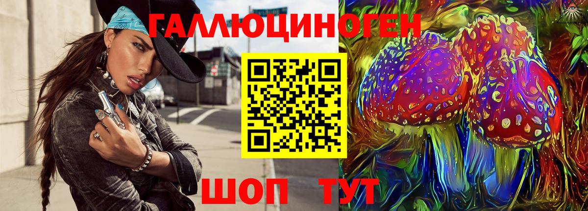 Ростов Великий  где купить наркоту  Вход с VPN  Галлюциногенные грибы Psilocybe 